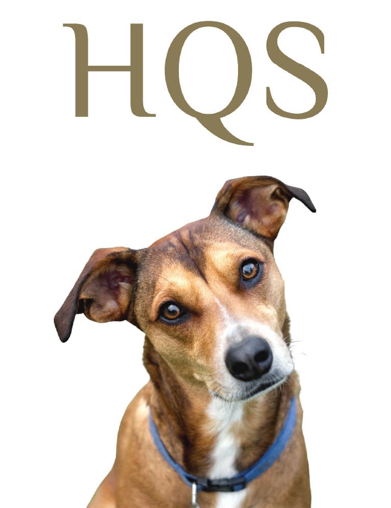 Dog Food | Almo Nature